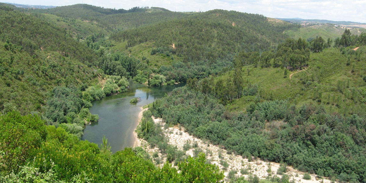 Regulamentos